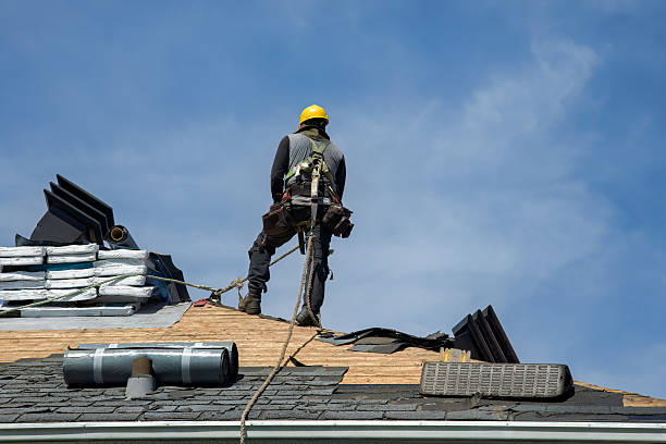 Professional Roof Replacement technician working in Newburg, WI